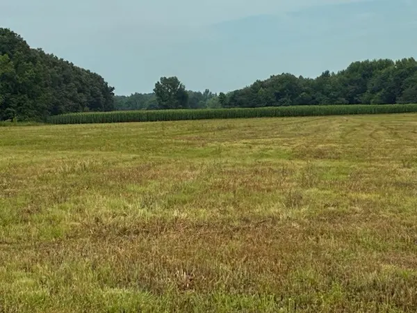 0 Rushing Road, Ethridge, TN 38456