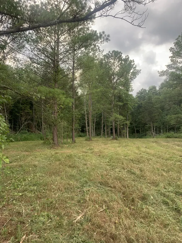3 Grice Rd, Sardis, TN 38371