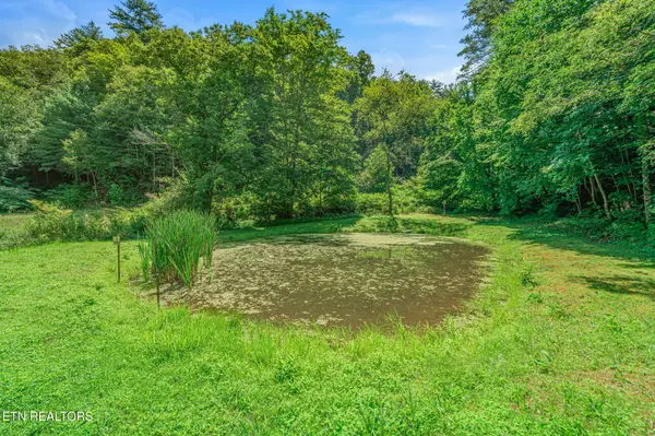 131 Pear Tree Way, Del Rio, TN 37727