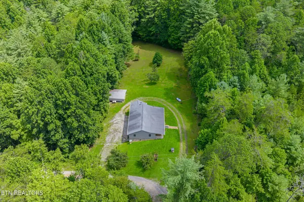 131 Pear Tree Way, Del Rio, TN 37727