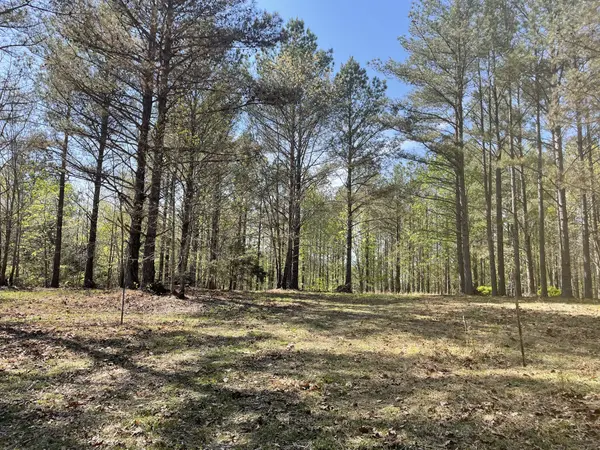 1001 Bj Rd, Centerville, TN 37033
