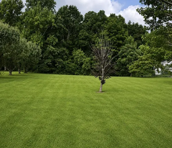 53 Pine Grove Rd, Smithville, TN 37166