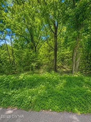 0 Reeves St, Lexington, TN 38351