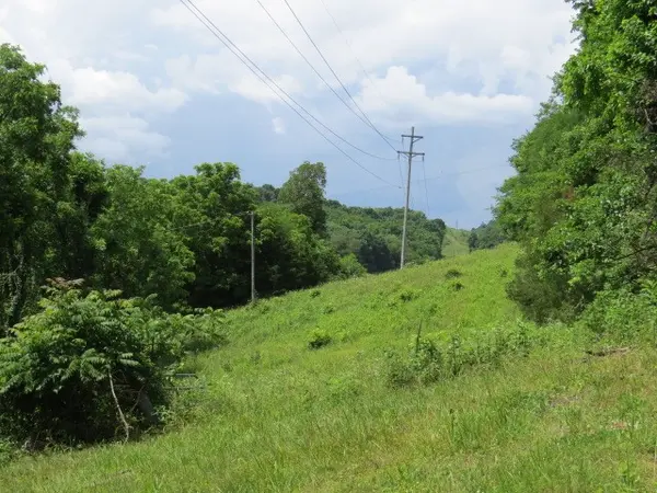 0 Hardy Rd, Pulaski, TN 38478