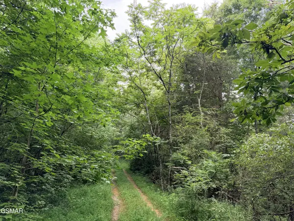 0 E Hwy 25 70, Newport, TN 37821