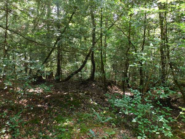0 Old Highway 56, Coalmont, TN 37313
