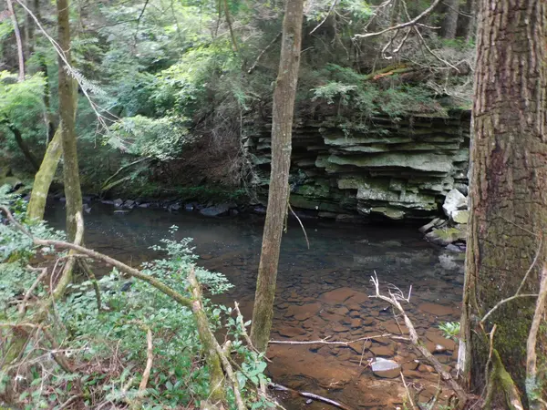 0 Old Highway 56, Coalmont, TN 37313