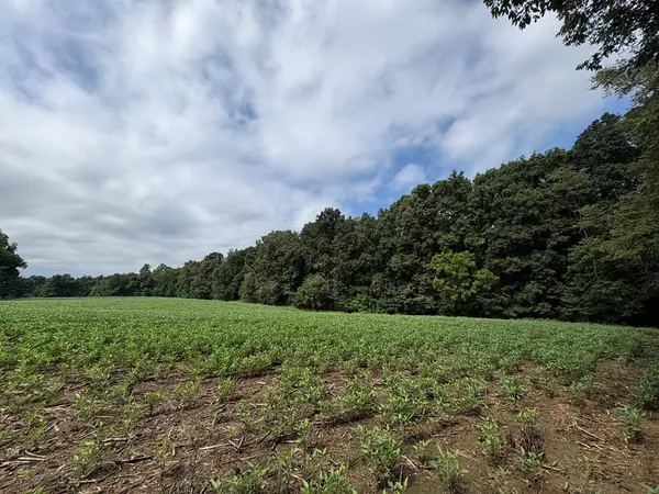 375 Ables Rd, Cottage Grove, TN 38224