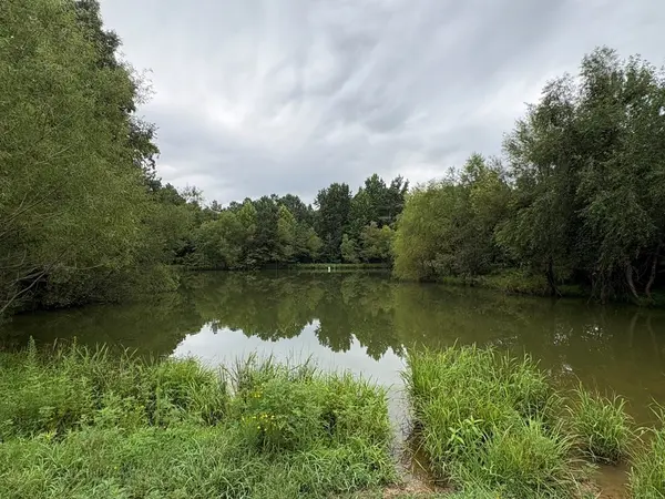 375 Ables Rd, Cottage Grove, TN 38224