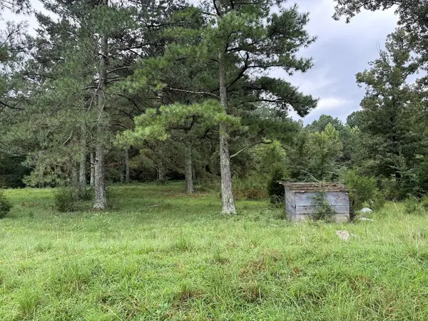 375 Ables Rd, Cottage Grove, TN 38224