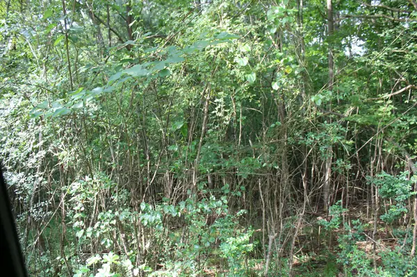 0 Wren Avenue, Camden, TN 38320