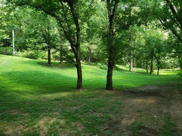268 Ben Gentry Ln, Elmwood, TN 38560