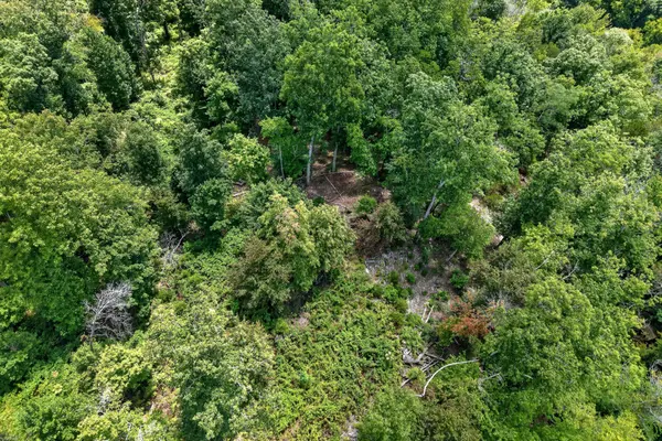 0 Wilmouth Creek Rd, Liberty, TN 37095