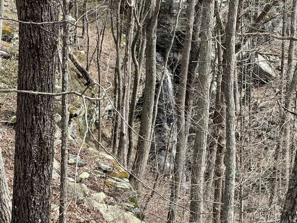 4441 Deer Run Road, Altamont, TN 37301