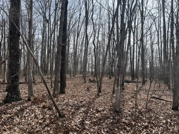 4441 Deer Run Road, Altamont, TN 37301