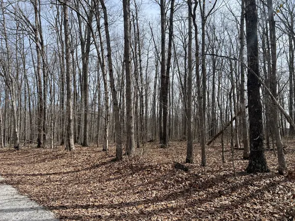 4441 Deer Run Road, Altamont, TN 37301