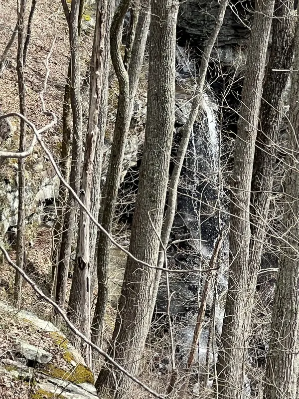 4441 Deer Run Road, Altamont, TN 37301