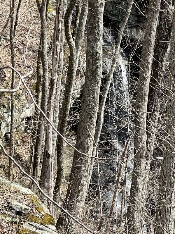 4441 Deer Run Road, Altamont, TN 37301