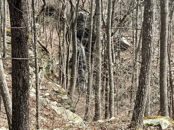 4441 Deer Run Road, Altamont, TN 37301