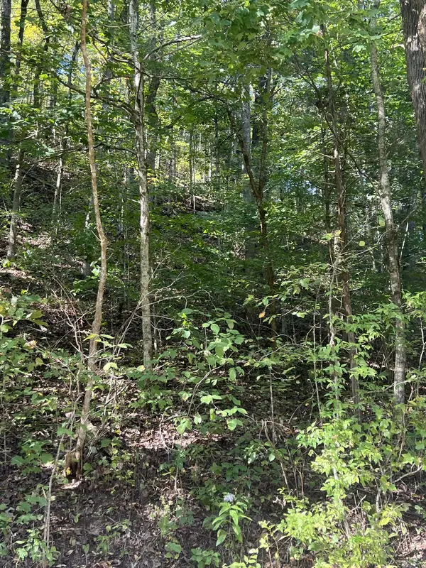0 NEELEY CREEK RD, Celina, TN 38551