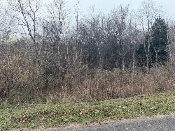0 Lewis Rd, Santa Fe, TN 38482