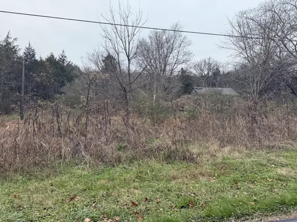 0 Lewis Rd, Santa Fe, TN 38482