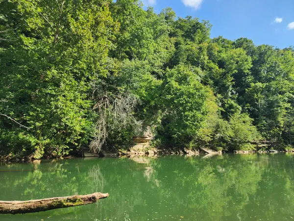 0 Keazy Hollow Rd, Waynesboro, TN 38485