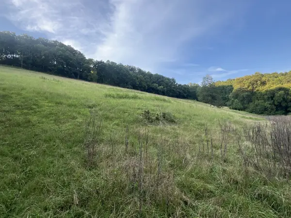 0 Club Springs Rd off 263, Elmwood, TN 38560