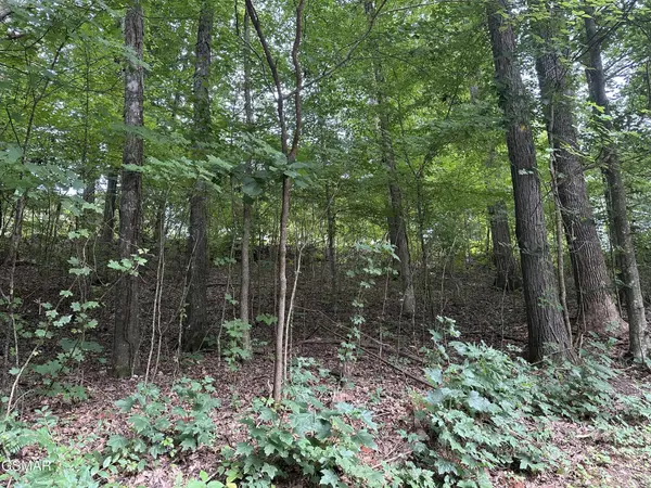 75 Highpoint Drive, Sevierville, TN 37876