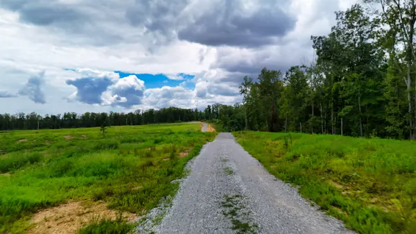 1 Bell Hollow Rd, Vanleer, TN 37181