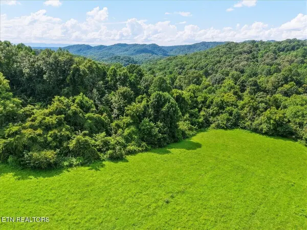 579565 Harless Rd, Corryton, TN 37721