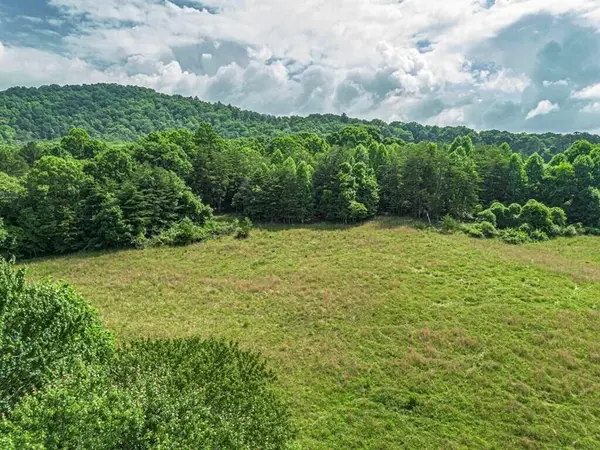 541 Pleasant Hill Road, Copperhill, TN 37317