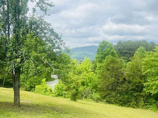 105 Lola Drive, Farner, TN 37333