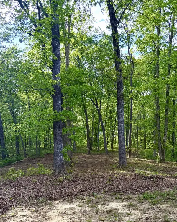 631 Shahan Lane, Birchwood, TN 37308