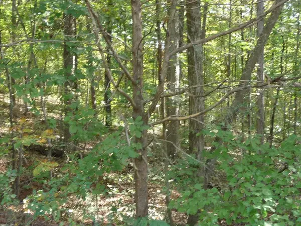 0 goodwin rd./ walker brow ridge, Cleveland, TN 37312