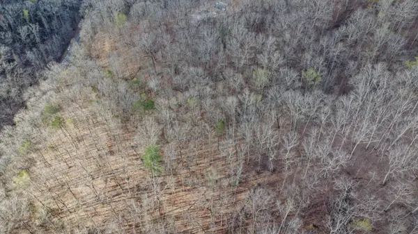 435 Hidden Oaks Road, Harriman, TN 37748