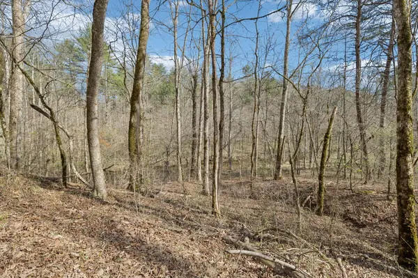 1489 Towee Pike, Reliance, TN 37369