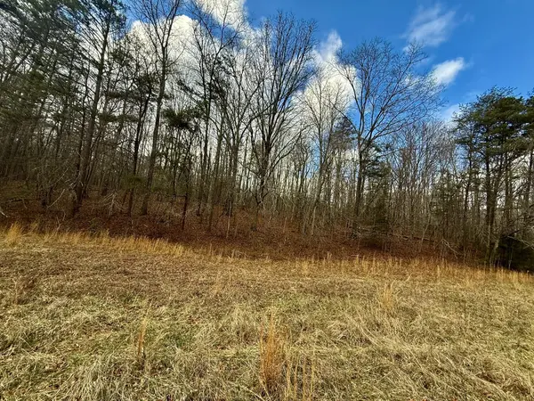 0 Cedar Springs Road, Turtletown, TN 37391