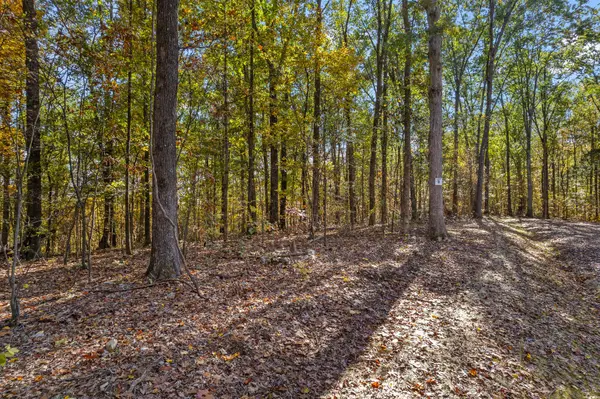 6 County Road 29, Riceville, TN 37370