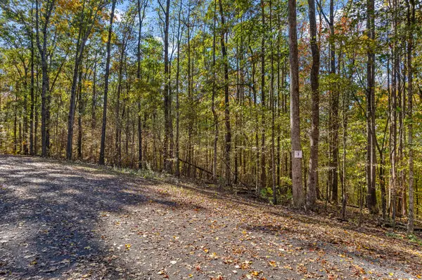 6 County Road 29, Riceville, TN 37370