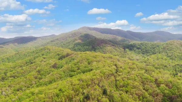 385 Elrod Circle, Turtletown, TN 37391