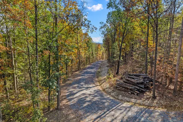 4 County Road 29, Riceville, TN 37370