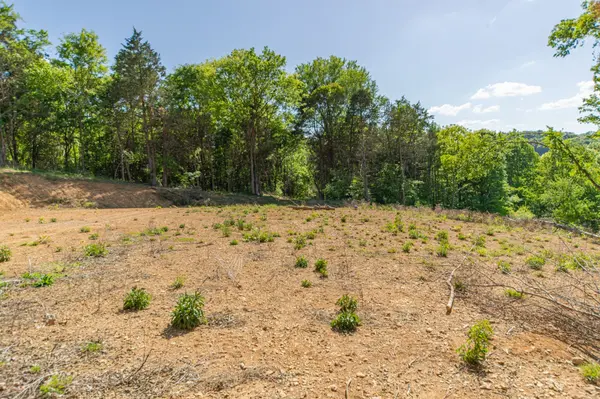 0 Globe Rd, Lewisburg, TN 37091