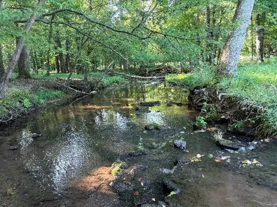 0 Brown Road, Bon Aqua, TN 37025
