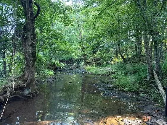 0 Brown Road, Bon Aqua, TN 37025