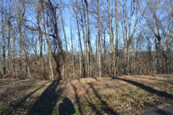 0 Cabin Hill Rd, Celina, TN 38551