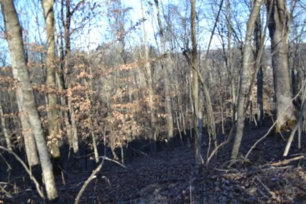 0 Cabin Hill Rd, Celina, TN 38551