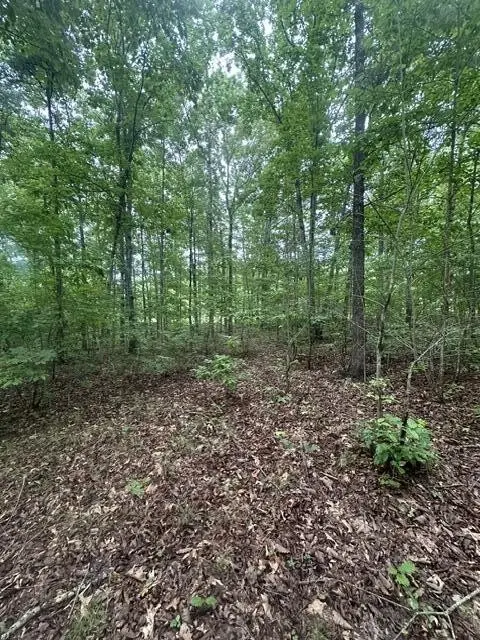 198 Kyuga Drive, South Pittsburg, TN 37380