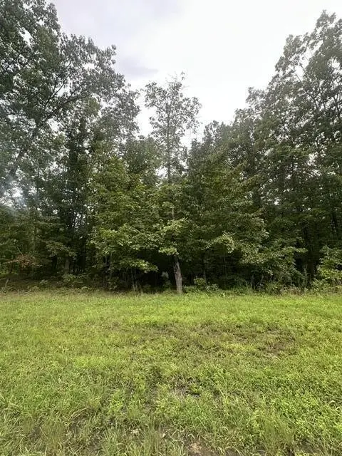 198 Kyuga Drive, South Pittsburg, TN 37380