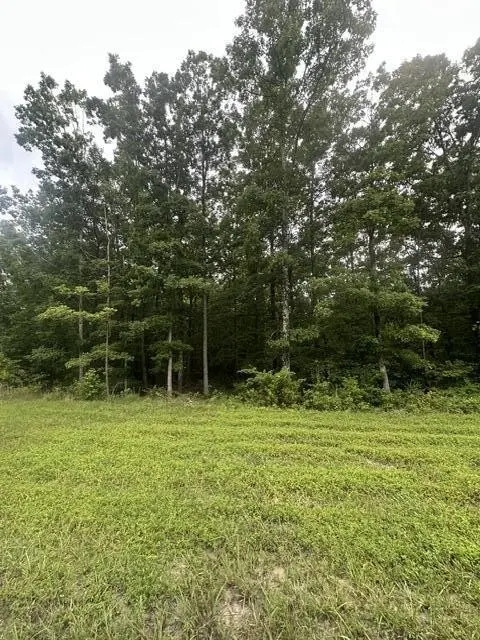 198 Kyuga Drive, South Pittsburg, TN 37380